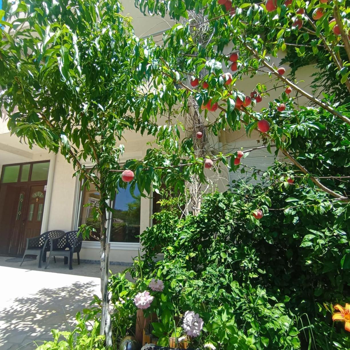 Apartment студия рядом с тц мега малл, микс маркт, техномакс *